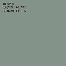 #859289 - Spanish Green Color Image